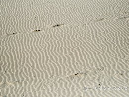 BRAY-DUNES2024_FXT32930