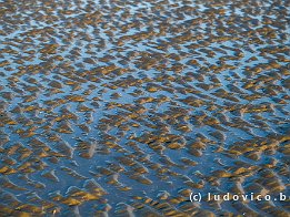 OOSTDUINKERKE2024_FXT33251