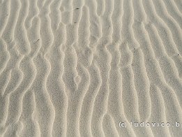 BRAY-DUNES2024_FXT32932
