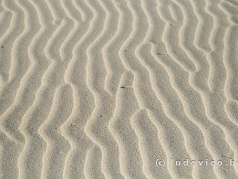 BRAY-DUNES2024_FXT33019