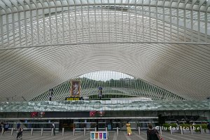 Luik