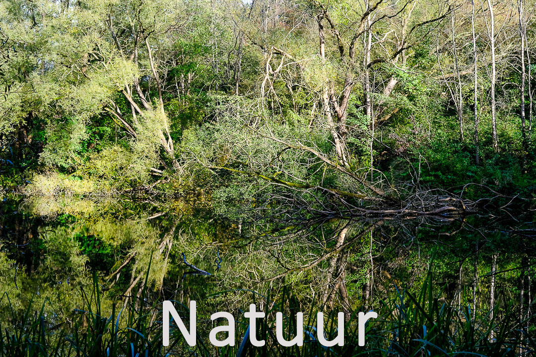 Natuur
