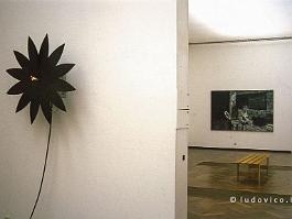 AMSTERDAM1997N080