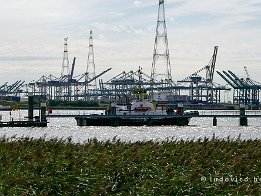 ANTW2020_P8720025 Waaslandhaven (containerhaven)