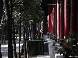 CHINA2009LUOYANG_DSC4043