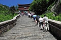ludovico-be.china.taishan