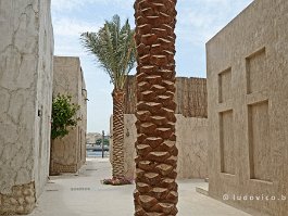 DUBAI2018_DUB1_0049