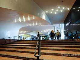 HAMBURG2022_FXTX3587