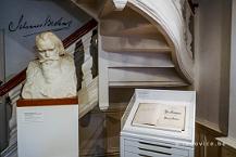 Brahmsmuseum