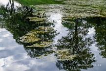 natuur