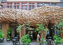 DU2016 DSC 0131-5097