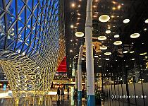 DU2016 DSC 0339-5319