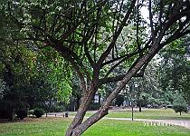 DU2016 DSC 0219-5195