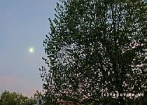 DSCF2547