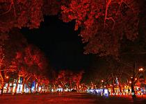 P1160190