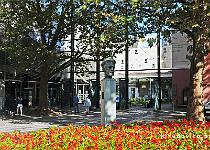 DU2016 DSC 0726-5747
