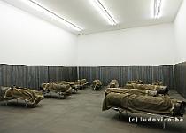 DSCF8514
