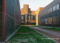 DSCF8394