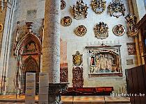 DU2016 DSC 1638-6780