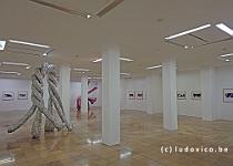 DSCF2919