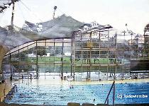 MUNCHEN1996N085