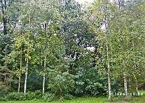 DU2016 P2980-P1170036