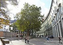 DU2016 P2834-P1160888