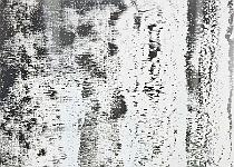DU2016 P2333-P1160377