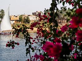 EGYPTE2008_DSC_0559