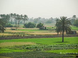 EGYPTE2008_DSC_2865