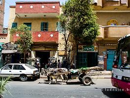 EGYPTE2008_DSC_1199