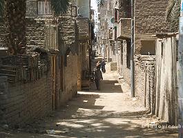 EGYPTE2008_DSC_0258