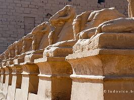 EGYPTE2008_DSC_1915