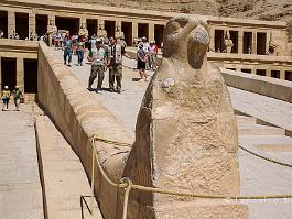 EGYPTE2008_DSC_1428