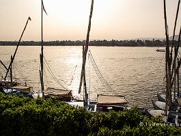 EGYPTE2008_DSC_2251