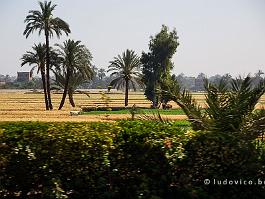 EGYPTE2008_DSC_2334