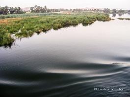 EGYPTE2008_P4144598