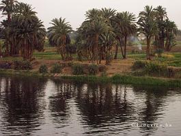 EGYPTE2008_P4144612