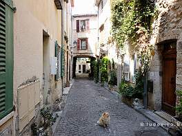 ANTIBES_DSCF6638