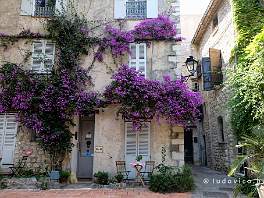 ANTIBES_DSCF6653