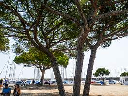 ANTIBES_P1470543