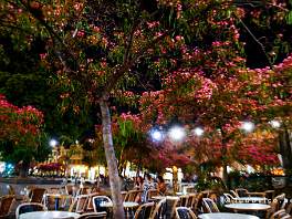 NICE_P1460989