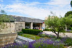 Musée Marc Chagall