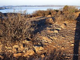 SOUNION2001N021