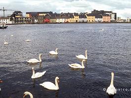 GALWAY2002N017