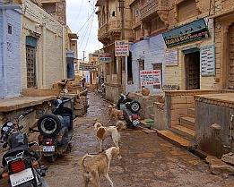 JAISALMER8259