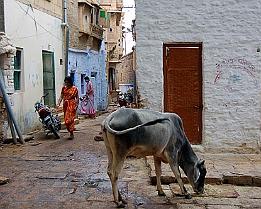 JAISALMER8287