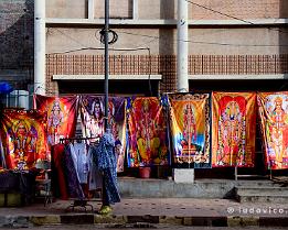 INDIA2023_D7M_1830