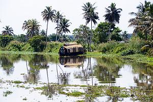 Backwaters