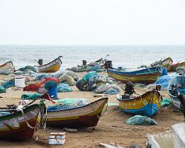 INDIA2023_D7M_3196